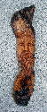 December 2003 - 14 inch wood spirit carved in bark brought in from Alberta.