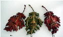 June 2004 - The first leaf man now has two buddies. All made the same but a little different colors.