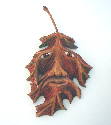 August 2004 - This is a Maple Leaf with a face in it. 7 inches long and 5 1/2 inches wide, carved out of basswood and finished with acrylic paint followed by paste wax.