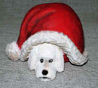 Nov. 2005 - Telly under Santa's hat. He measures about 3" x 3" x 2" carved with basswood and finished with acrylics.