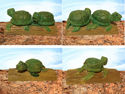 #17 & 18 - The single turtle was carved our of a 3 inch long piece of pine and the double turtles also on a 3 inclh long piece of wood but I used basswood for them. - June 2002.