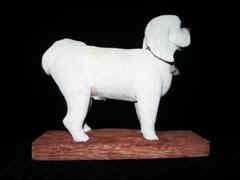 June 2007 - This is carved from a picture of my daughter's little Bichon dog. The carving stands about 5 inches high and 8 inches long. It is carved from basswood, painted with acrylics and finished with floor wax.