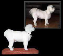 June 2007 - The top picture is of the actuall dog and the bottom picture is the carving.