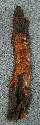 July 2003 - Wood Spirit in cottonwood bark.