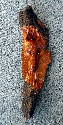 August 2003 - I always wanted to try a wolf carved in bark. This was my first and only attempt.