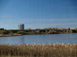 Park 1-4.jpg (164294 bytes)