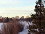 Winter 3-3.jpg (88709 bytes)
