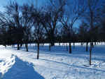 Winter 4-1.jpg (148516 bytes)