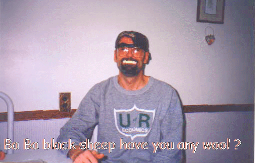 sheep