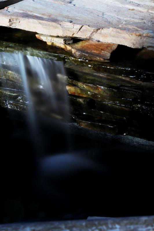 DSC_1123