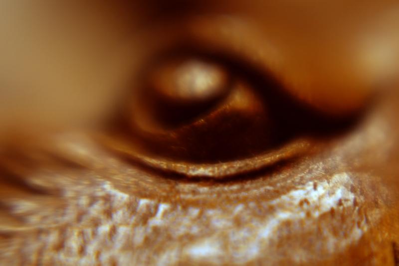 DSC_1779