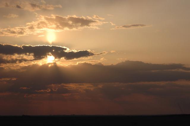 DSC_2405