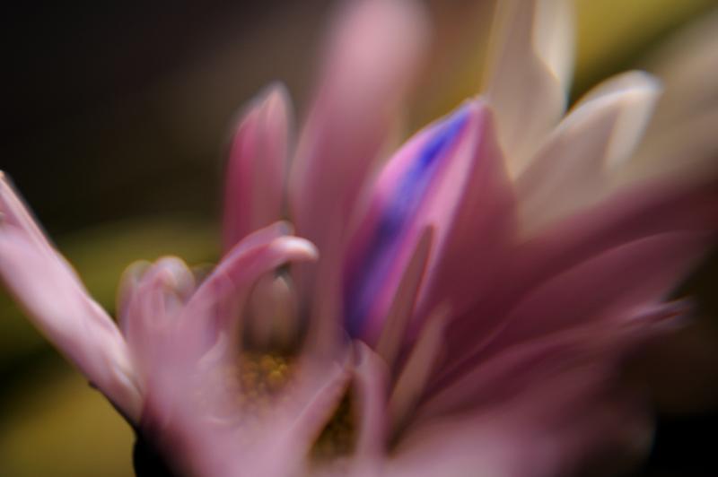 _DSC1721