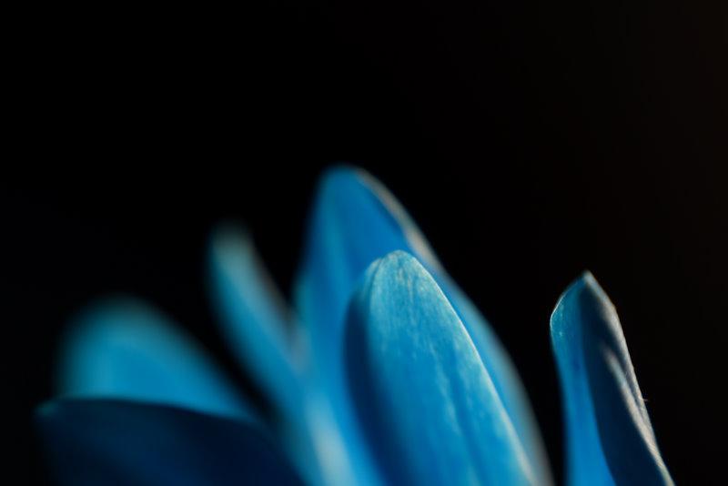 _DSC1823