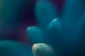 blog_DSC1700