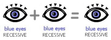 brown and blue eyes