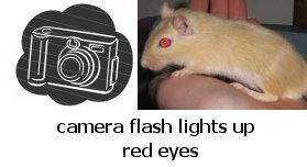 pink eyes in flash