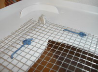 completed inside corner of a lid