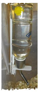glass water bottle with metal holder