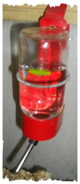 glass water bottle with metal holder
