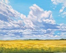 clouds&canola