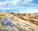 Signs of Spring