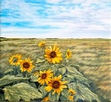 Wild Sunflowers