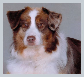 Ember