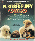 YOUR PURE BRED PUPPY A buyers guide